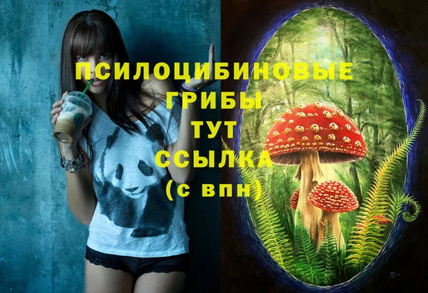ГАЛЛЮЦИНОГЕННЫЕ ГРИБЫ Арсеньев